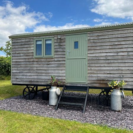 The Woolly Sheep Shepherd Huts Whitland Exteriör bild